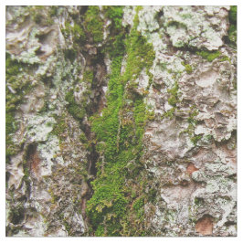 Kiefern-Baum-Barke mit Moos-Foto-Gewebe Stoff