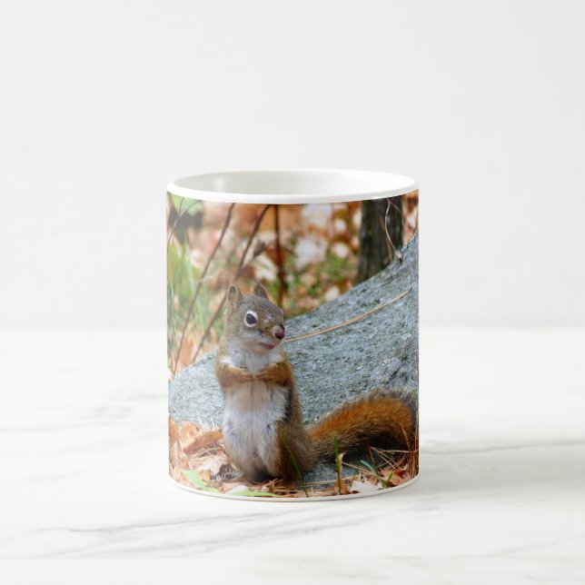 Kiefern-Eichhörnchen Tasse (Mittel)