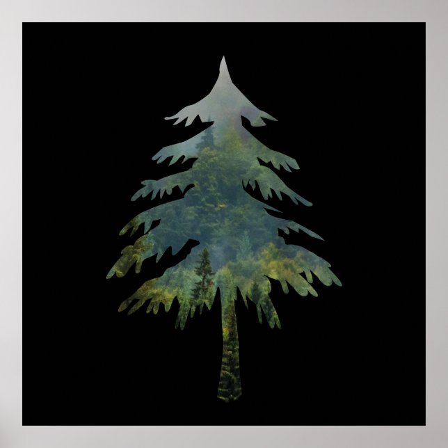 Kiefern in den Wald  Poster (Vorne)