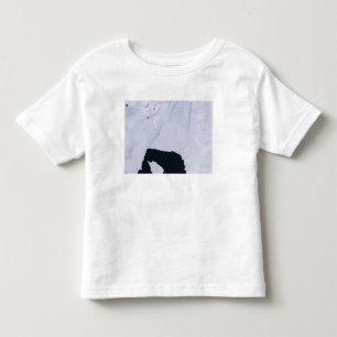 Kiefern-Insel-Gletscher Kleinkind T-shirt