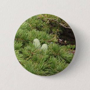 Kiefern-Kegel Button