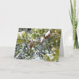 Kiefern-Kegel-Feiertags-Karte Feiertagskarte