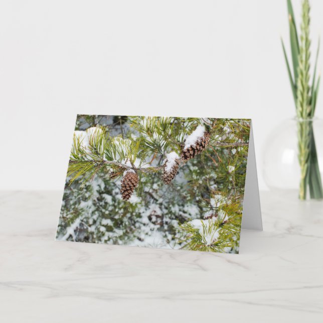Kiefern-Kegel-Feiertags-Karte Feiertagskarte (Vorderseite)