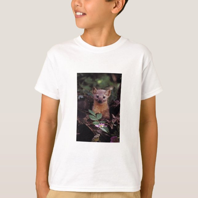 Kiefern-Marder T-Shirt (Vorderseite)