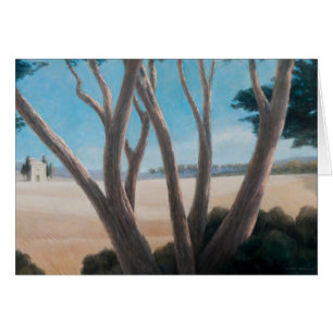 Kiefern nähern sich Pienza 2012