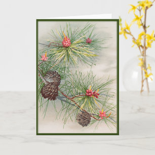 Kiefern und Blume Weihnachten Karte
