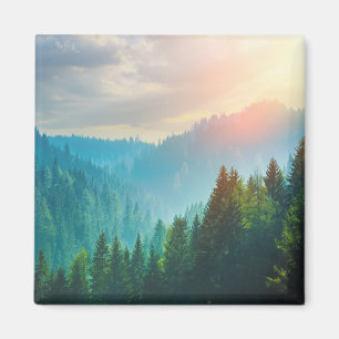 Kiefern-Wald in den Dolomit, Italien Magnet