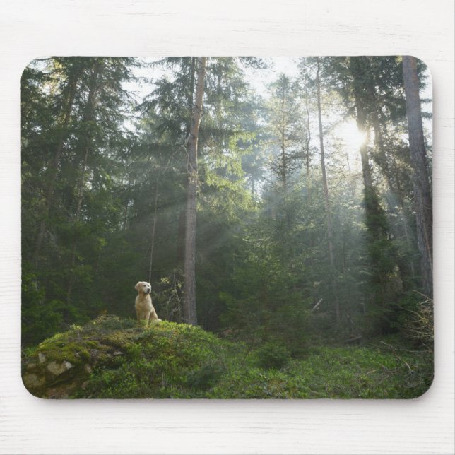 Kiefern-Waldland des golden retriever-Hund| Mousepad (Vorne)