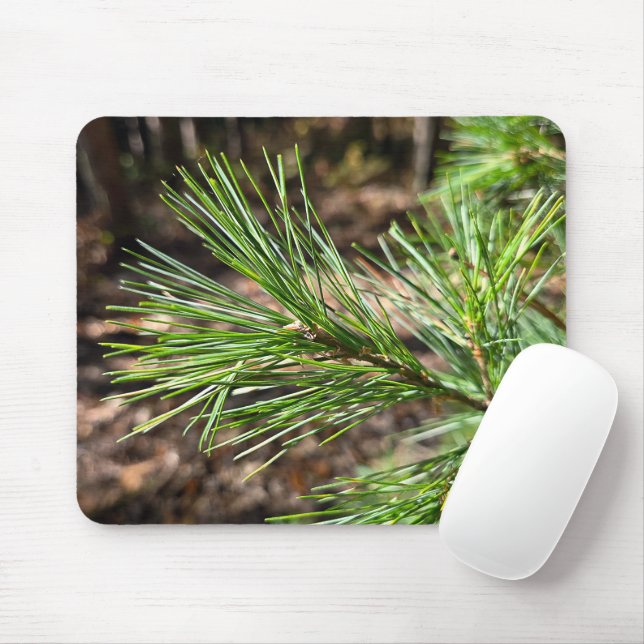 Kiefernadeln im Sonnenlicht Mousepad (Mit Mouse)