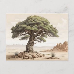Kiefernbaum Postkarte