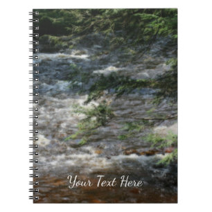 Kiefernbäume gegen Razzien im Stream Orton Notizblock