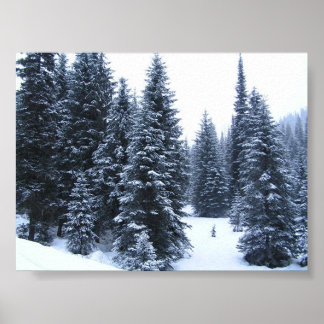 Kiefernbäume im Winter Poster