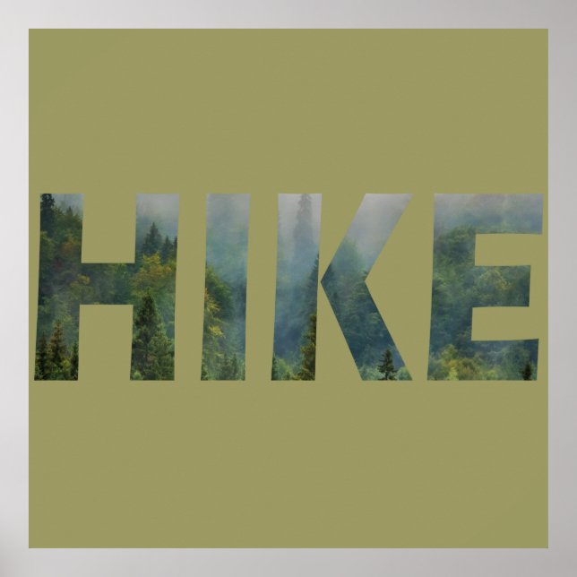 Kiefernbäume in den Wald Poster (Vorne)