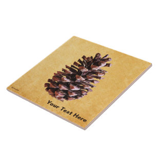 Kiefernkiefer auf Vintagem Papier Fliese