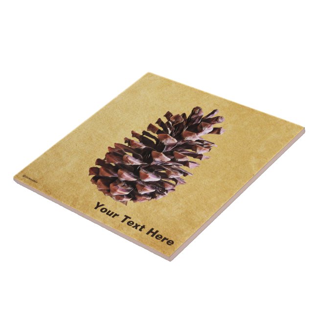 Kiefernkiefer auf Vintagem Papier Fliese (Seite)