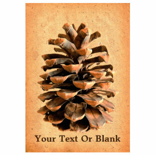 Kiefernkone auf Pergament Fotoskulptur Magnet