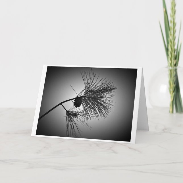 Kiefernkone auf Zweig - Noir, Karte (Vorderseite)