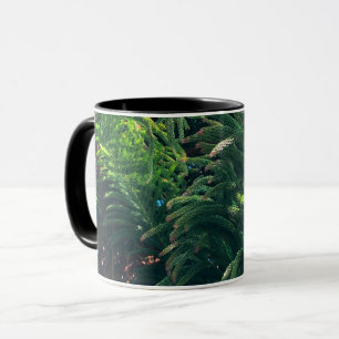 Kiefernkonifer Tasse