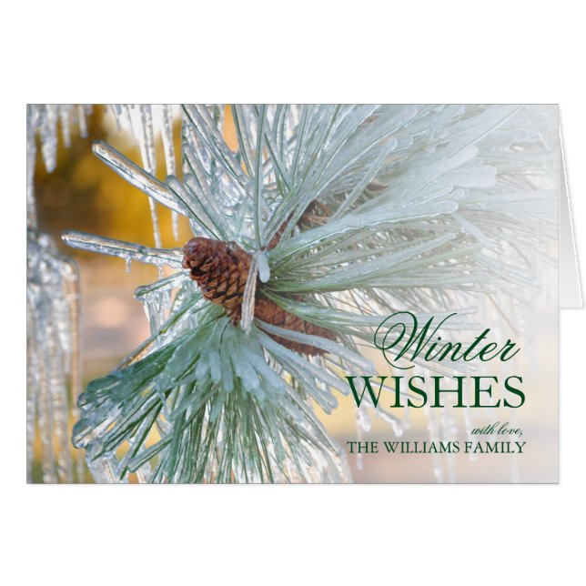 Kiefernnadeln, in Eis eingeschlossen (Vorderseite (Horizontal))