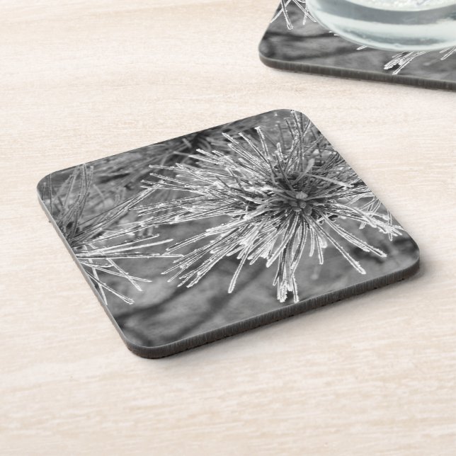 Kiefernnadeln mit Frostbedeckung in Schwarz und We Getränkeuntersetzer (Linke Seite)