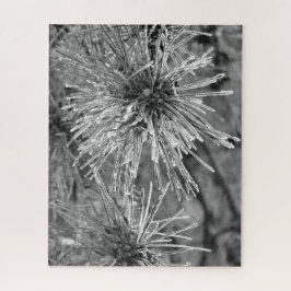 Kiefernnadeln mit Frostbedeckung in Schwarz und We Puzzle