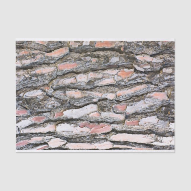 Kiefernrinde Seidenpapier (Vorderseite)