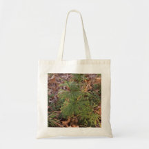 Kiefernsämling-Foto-Canvas-Tasche