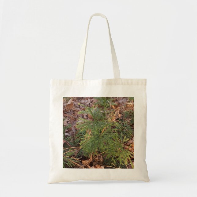 Kiefernsämling-Foto-Canvas-Tasche Tragetasche (Vorne)