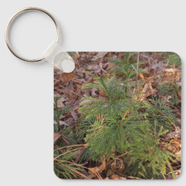 Kiefernsämling-Schlüsselanhänger Naturinspiriertes Schlüsselanhänger