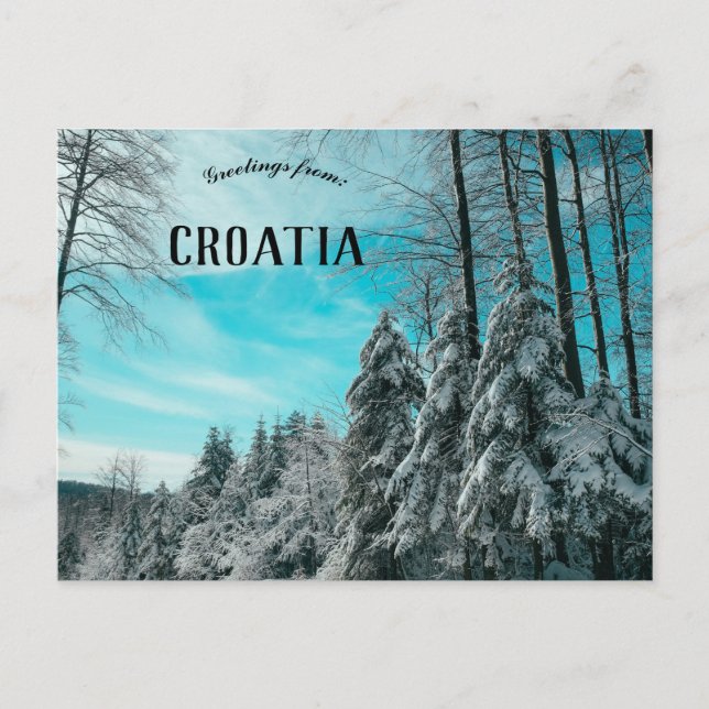 Kiefernwald bedeckt im Schneeplatak Kroatien Postkarte (Vorderseite)
