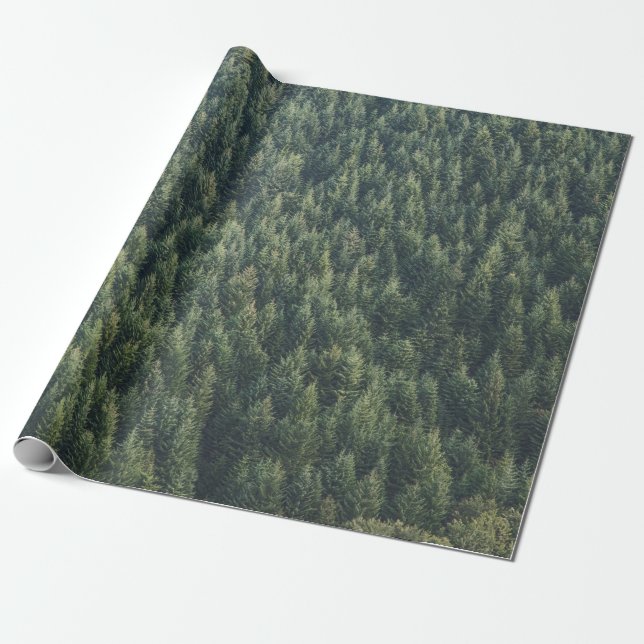 KIEFERNWALD GESCHENKPAPIER (Ungerollt)