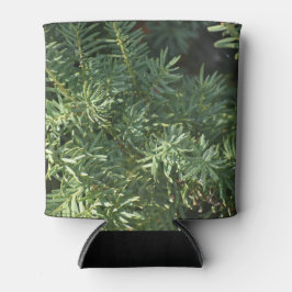 Kiefernwald kann kühler werden dosenkühler