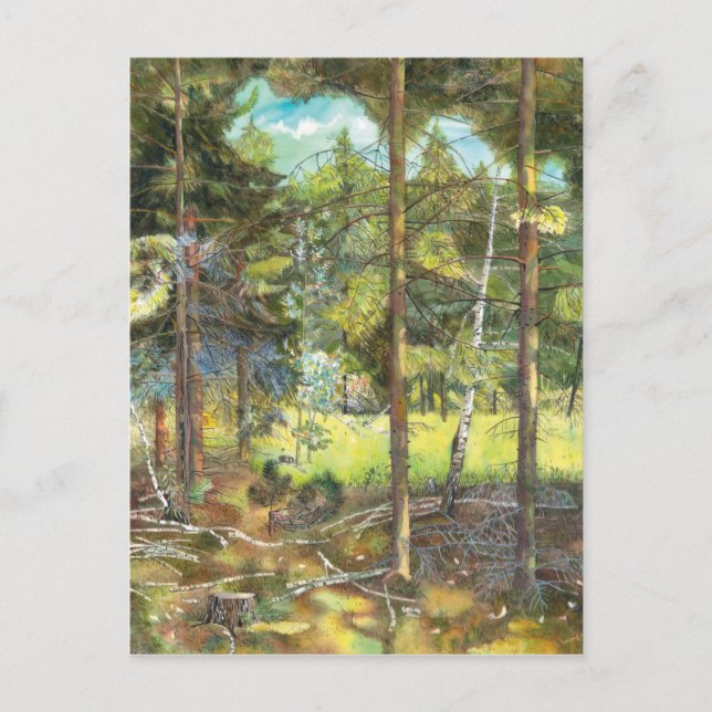 Kiefernwald Postkarte (Vorderseite)