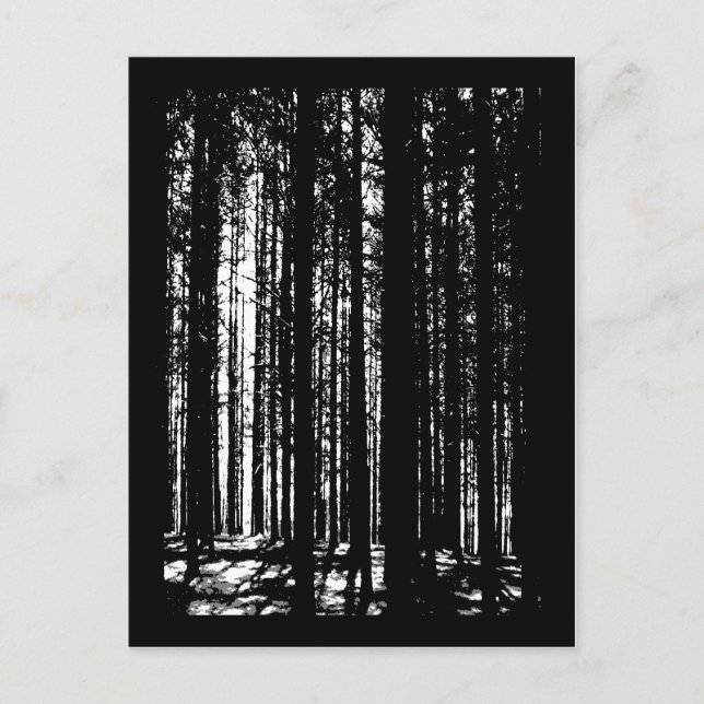 Kiefernwald Postkarte (Vorderseite)