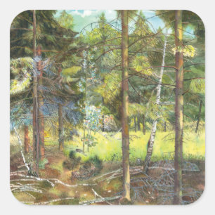 Kiefernwald Quadratischer Aufkleber