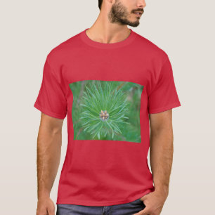 Kiefernwald-Vibes – Ruhig, Natürlich und Erfr T-Shirt