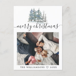 Kiefernwald Weihnachten Foto