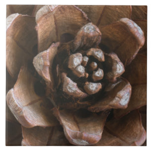 Kiefernzapfen Fliese