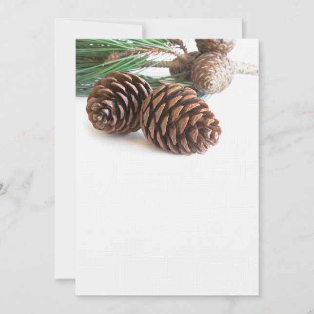 Kiefernzweig und -kegel (Vorderseite)