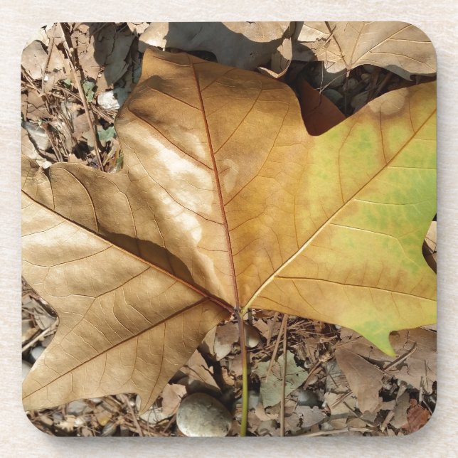 Kies und Blätter Untersetzer (Vorderseite)