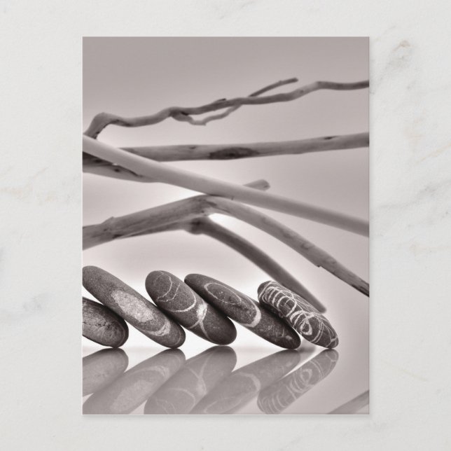 Kies und Treibholz Postkarte (Vorderseite)