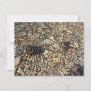 Kieselsteine in Taylor Creek Naturfotografie