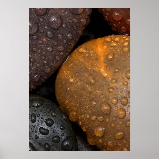 Kieselsteine mit Wassertropfen Poster (Vorne)