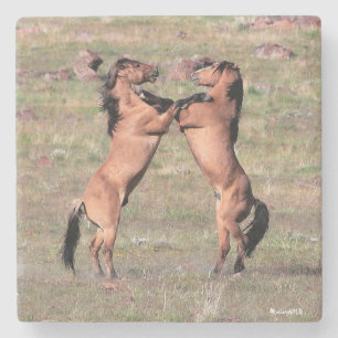 Kiger wilde Untersetzer