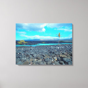 Kiholo Bay erobert landschaftliche Sicht Hawaii Le Leinwanddruck