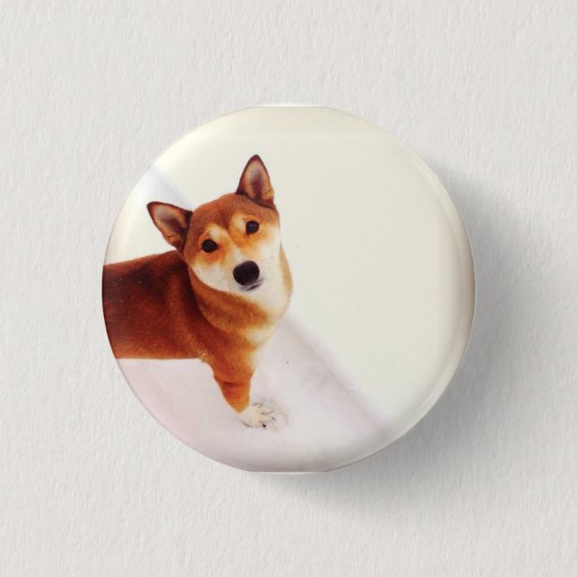 Kiki der Knopf des Shiba Rucksacks Button (Vorderseite)