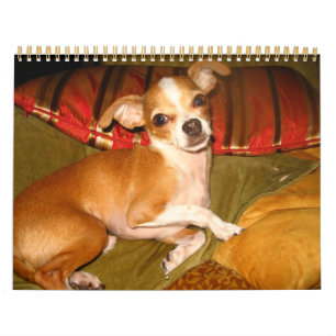 Kiko-Kalender Kalender