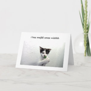 Kiko lolcat Feiertagskarte - Poof!