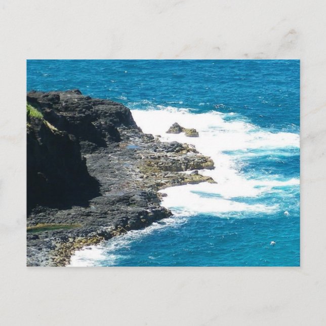 Kilauea Coastline Kilauea Kauai Hawaii Postkarte (Vorderseite)