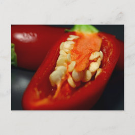 Kiliesamen,Stillleben Postkarte